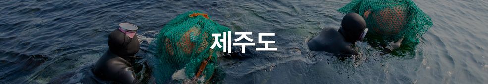 [국내농수산] 제주도