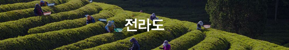 [국내농수산] 전라도