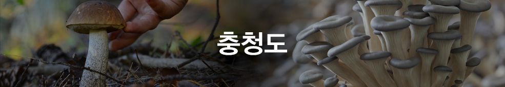 [국내농수산] 충청도