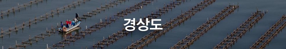 [국내농수산] 경상도