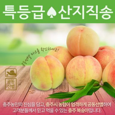 [2025 특등급] 하늘작 충주 복숭아 5kg(2.5kgx2상자) 제철 황도_산지직송