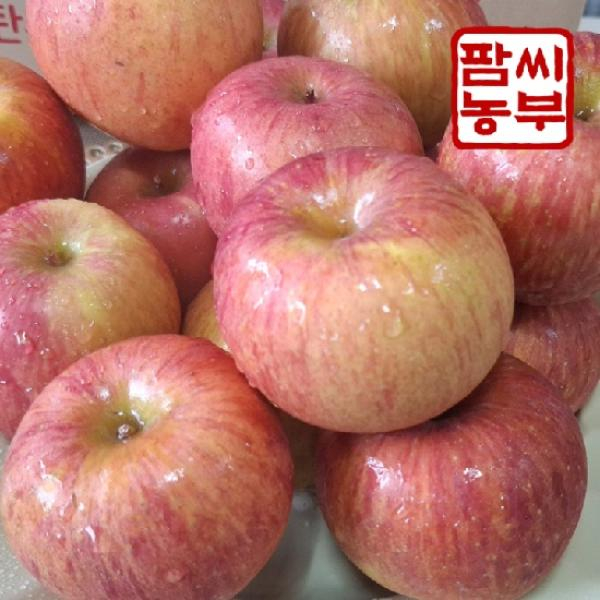 [팜씨농부] 가정용 사과 5kg(부사/33과 내외)