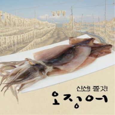 [특대사이즈]반건조 피데기오징어 165g X 20마리 (총 3.3kg)
