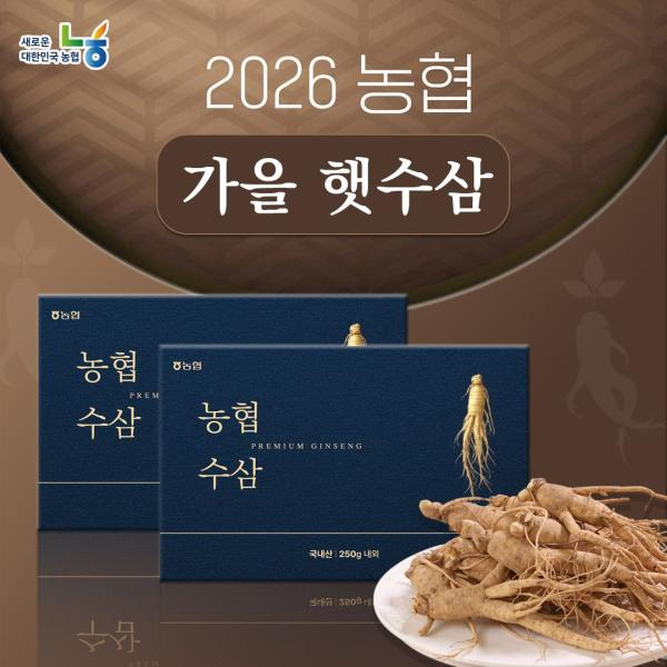 [특등급] 금산인삼농협 6년근 햇수삼 250g x 4박스(1kg)