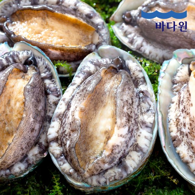 바다원 산지직송 완도 활전복 1kg (9-10미 내외) 왕특대+손질칼 증정