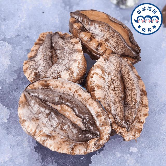 삼남매네 완도활전복 왕특대 7-8미 1kg 산소포장+세척솔