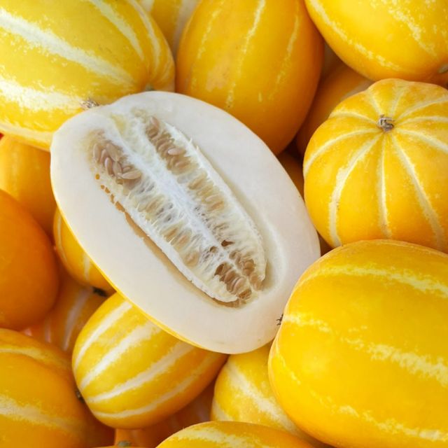 성주 참외 가정용 5kg (소과/25-35과)