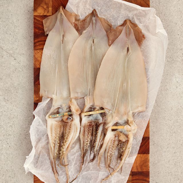 오초록 촉촉한 피데기 반건조 오징어 5미 (550g~600g 내외)