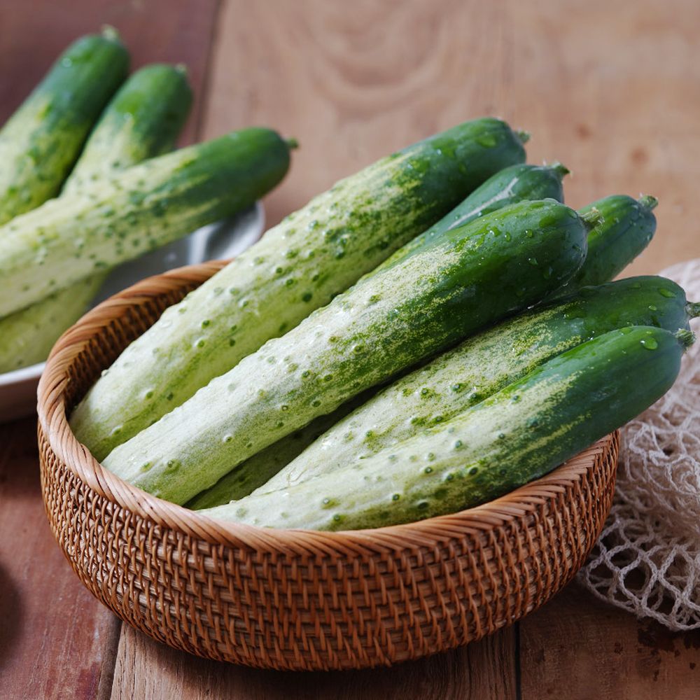 아삭아삭 백오이 (특) 1kg~5kg 모음전