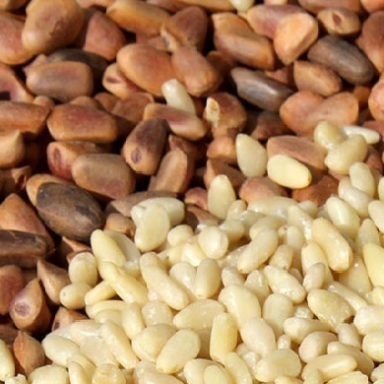 24년 평창 잣 200g*2팩(황잣1,백잣1)