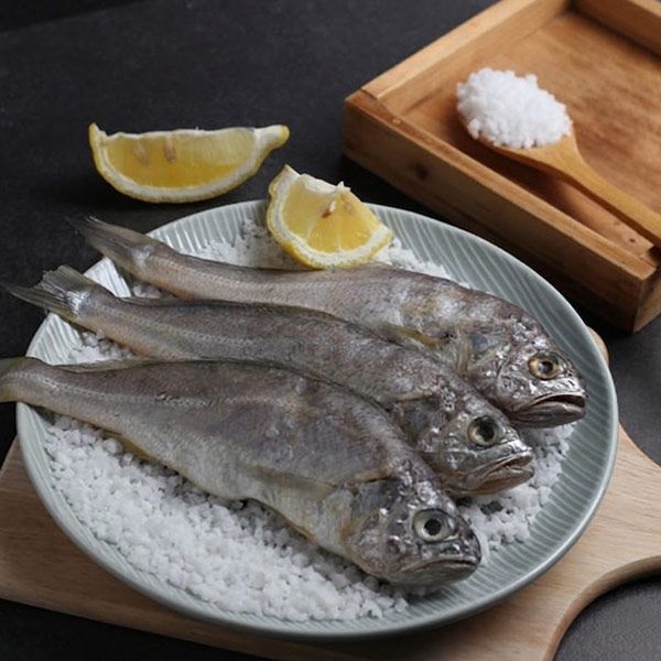 [씨토랑]영광법성포 참굴비 20미 2.2kg