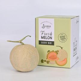 [대신영농]고당도 머스크 멜론 특품 1.6kg (1수)