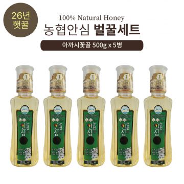 [지정일배송가능] 26년 햇 농협안심특화 아까시꽃꿀 5병
