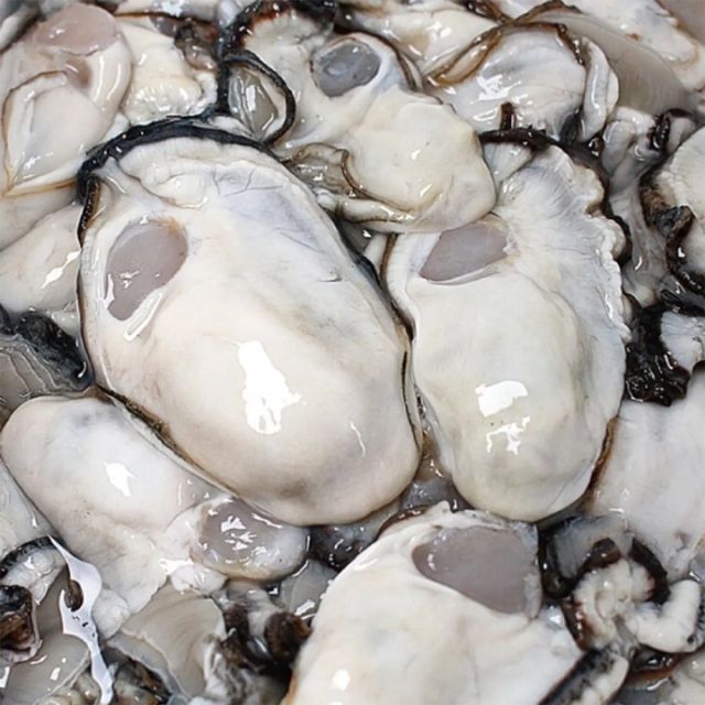 통영직송 제철 생굴 1kg 2kg