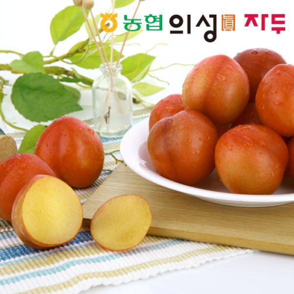 2026 의성진 자두 2.4kg(1.2kg*2팩_포모사)/개당 80~140g/총18~30개