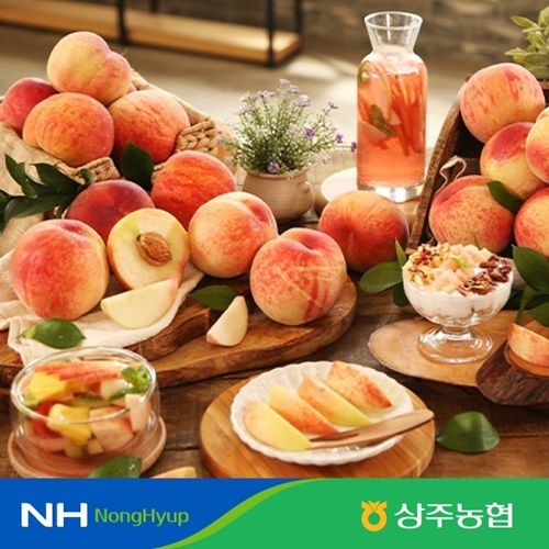[상주농협]경북아삭이 백도복숭아 총5kg/총18~24개/L~2L사이즈 2