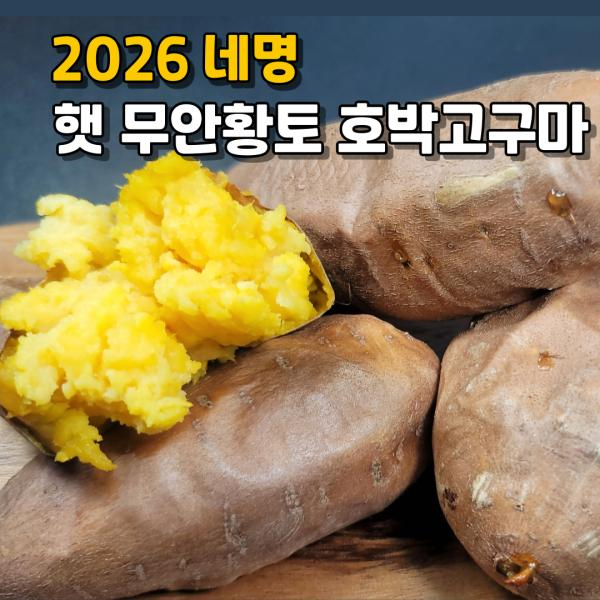2026 네명 햇 무안황토 호박고구마 총 6kg (3kg + 3kg)