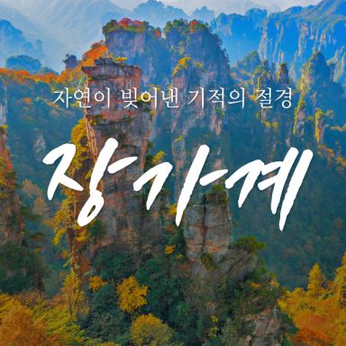 보물섬투어 장가계_250808
