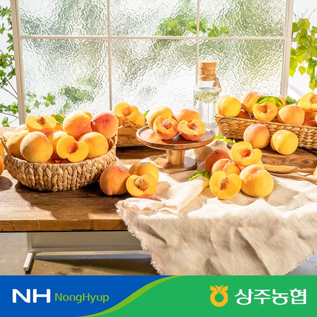 [상주농협] 말랑한 황도 복숭아 총 4kg/ 개당중량 215g - 300g