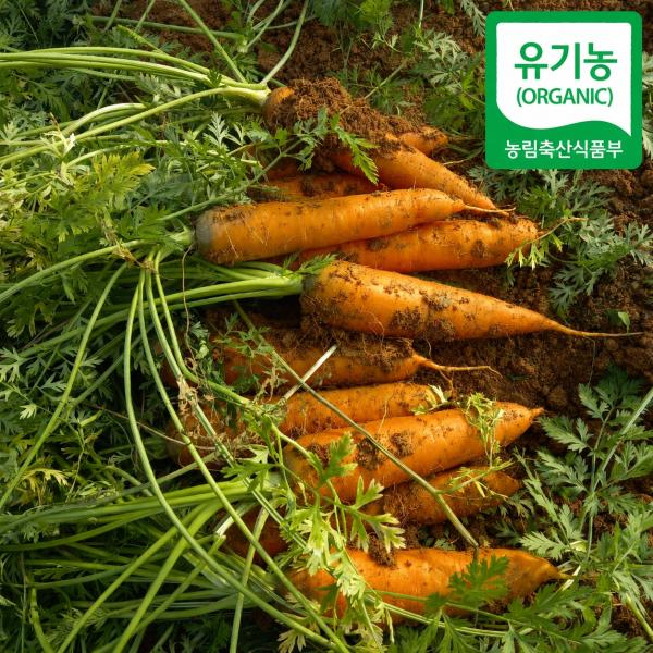 2026년 햇 특등급 유기농 황토 당근 2.5kg+2.5kg (총 5kg)