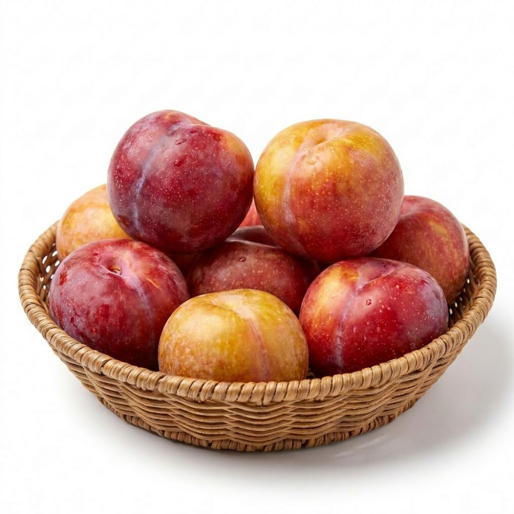 [공영쇼핑] 경북 노지 자두 중과 2kg (개당 70g 내외) (7,920원/무배)