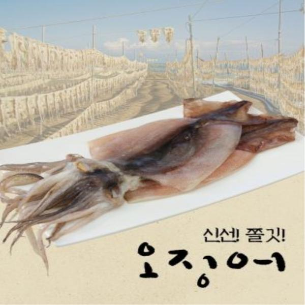 덕신 원양산 반건조 피데기오징어 110gx10미(팩당5미)