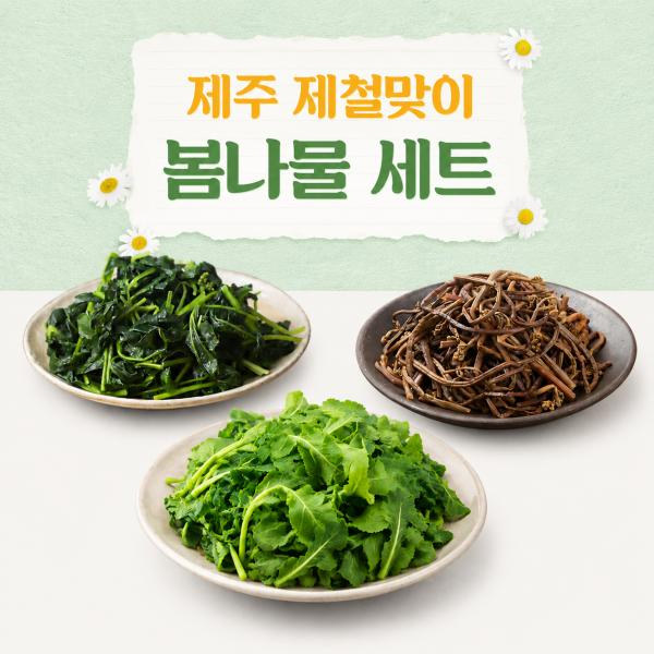 [제주시산림조합]26년 제주 봄나물세트8팩/1.6kg(고사리4팩+부지깽이2팩+유채나물2팩)
