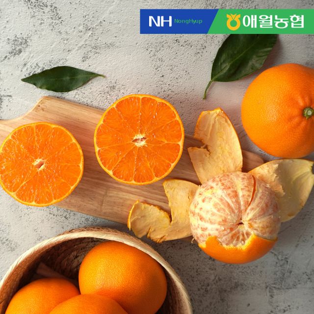 JS컴퍼니협력업체 [애월농협] 제주 천혜향 선물세트 5kg (20입 내외) 부직포 포장