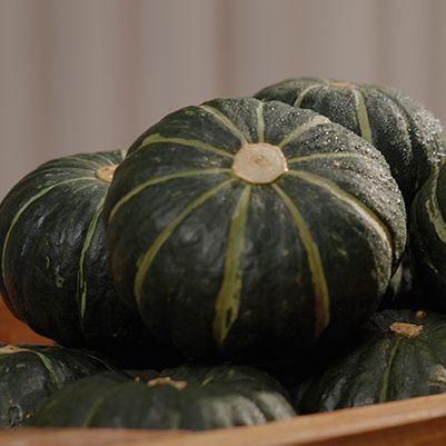 26년 햇 청정제주 미니밤단호박 9kg 4