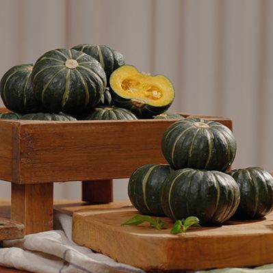 26년 햇 청정제주 미니밤단호박 9kg 2