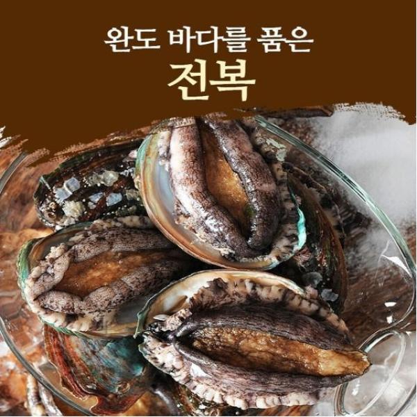 [특집][더조은] 완도활전복 대왕특대 130g이상×8마리