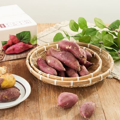 고창 황토 햇 밤고구마 3kg+3kg(총6kg)