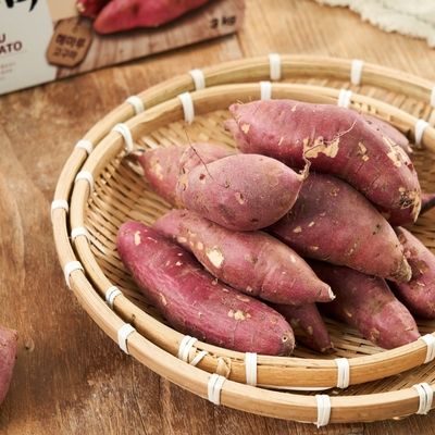 고창 황토 햇 밤고구마 3kg+3kg(총6kg)