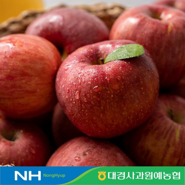 [eTV][군위]25년 경북세척부사2.5kg*1박스/개당170~215g/총12~15개