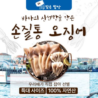 [해담은밥상] 손질통오징어 200g×12미 (1팩/1미, 총 12팩)