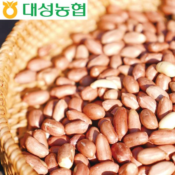 [eTV]25년산 농협 고소한 볶음 땅콩 2봉(300g*2봉/600g)