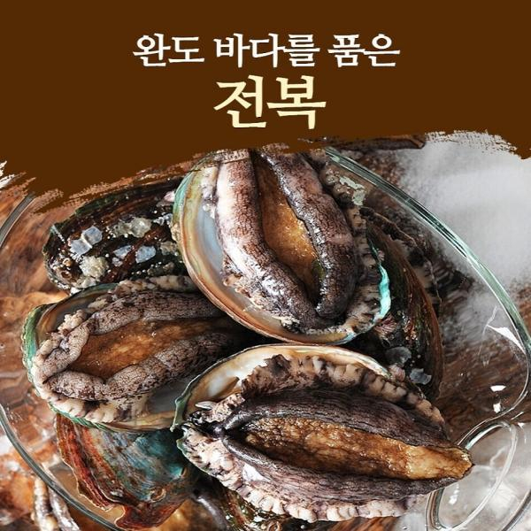 ★왕특대★ 완도 활 전복 100g이상×10마리