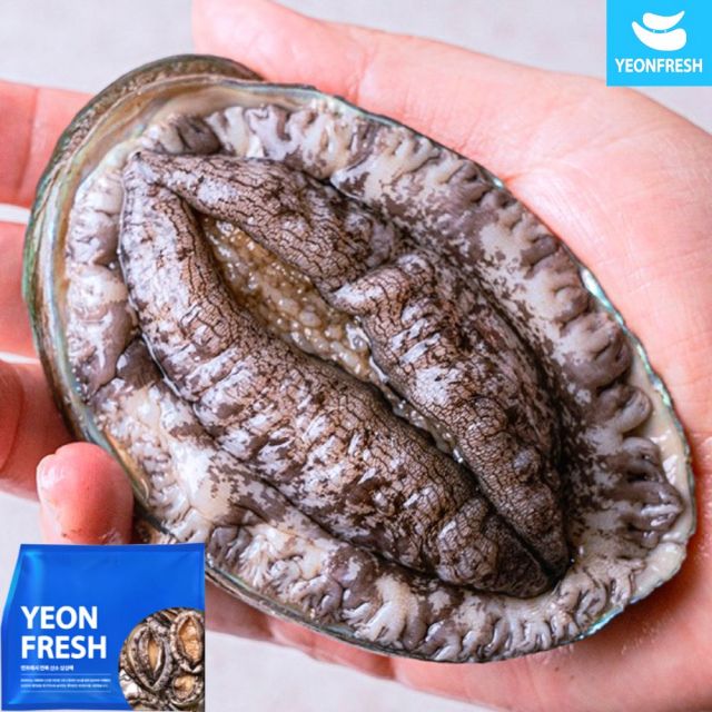 완도활전복 1kg 8-9미 (왕특대사이즈, 마리당110g내외)