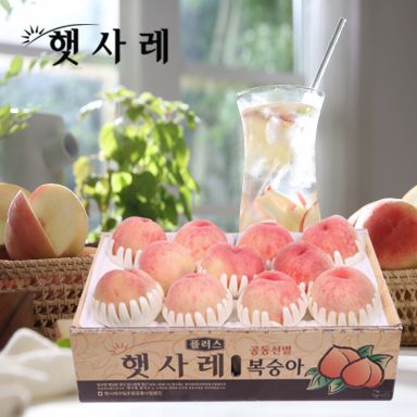 2025 햇사레 말랑이 복숭아 6kg(3kg*2박스 개당 215~300g_천중도)