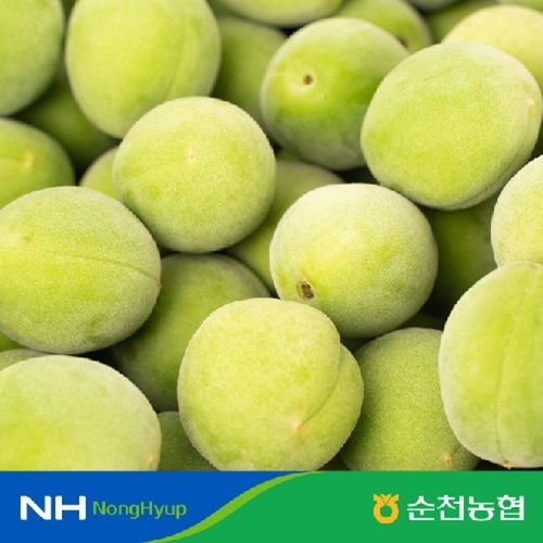 [L사이즈]2026 햇! 농협 순천 청매실 10kg