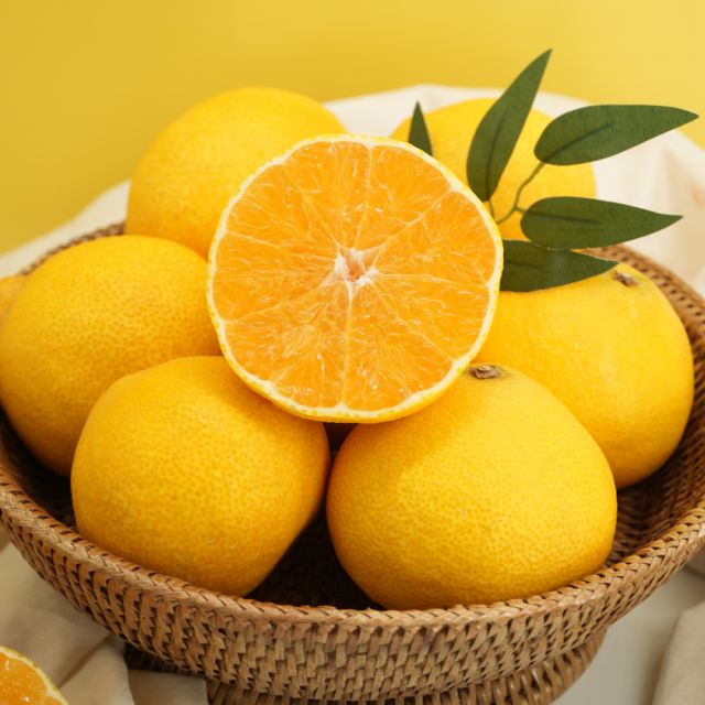 황금향 2.5kg 대과 8과내외 - 에누리 가격비교