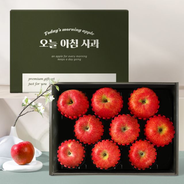 [오늘아침사과] 사과 선물세트 3kg (9과)