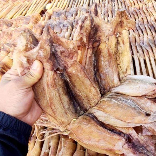 [해동찬가] 국내산 자연산 마른 오징어 40g×10미 2