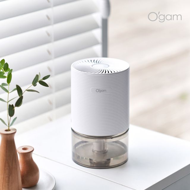 [에버홈] 365제습기 1세트