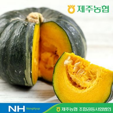 2025 제주햇살바람 미니단호박 8kg