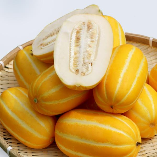 26년 햇 정담 성주참외 10kg