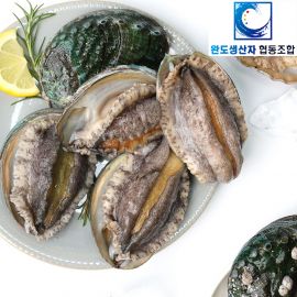 ★대왕특대 마리당125g내외★[생산자협동조합]완도 활전복 7-8미 1kg 산소포장
