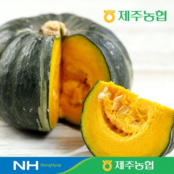 2026년 햇! 제주햇살바람 미니단호박 8kg