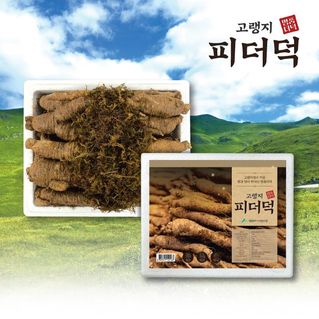 상등급 3년근 강원도 횡성더덕 1.2kg 12927692 | 홈쇼핑모아 [immall] 24년 햇! 상등급  3년근 강원도 횡성더덕 1.2kg 12927692