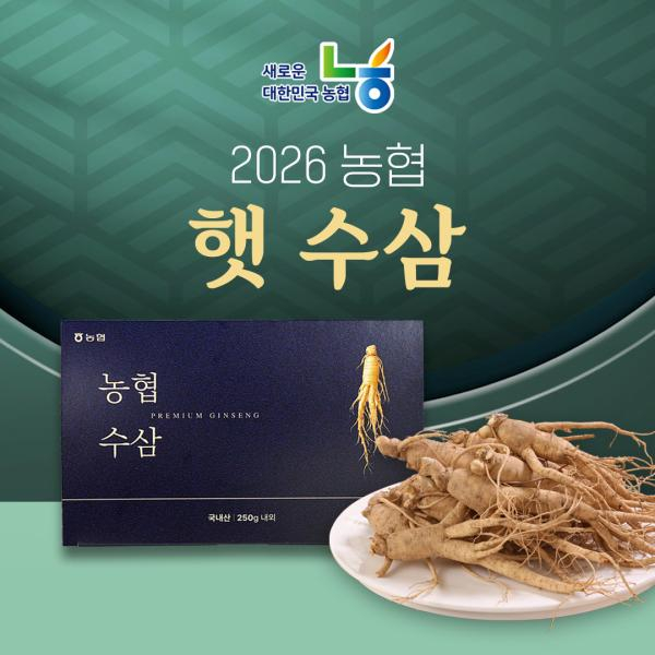 [26년 특등급!] 강화인삼농협 햇수삼 250g*4박스(총1kg)